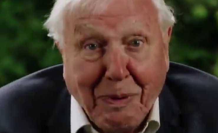 David Attenborough (Foto video)