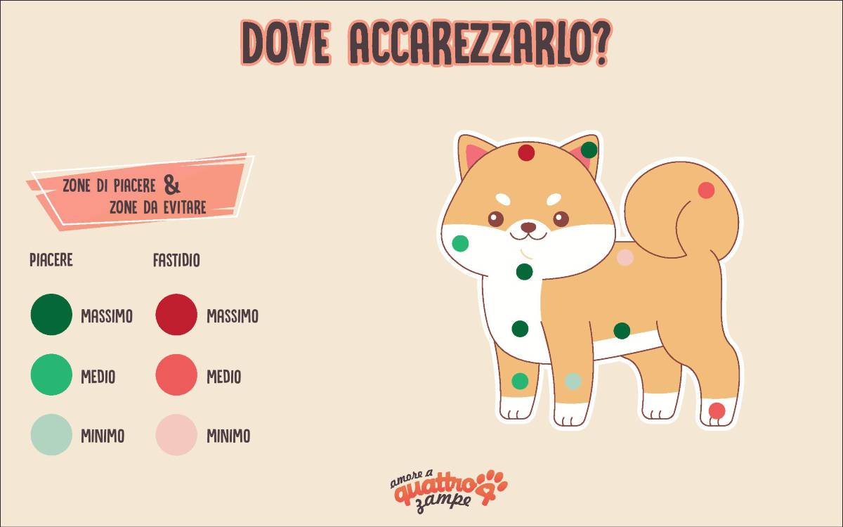 infografica dove accarezzare cane