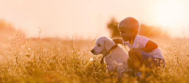 Ode al cane di Pablo Neruda (Foto Adobe Stock)