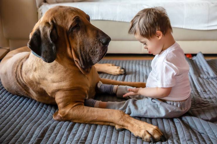 Pet Therapy per bambini