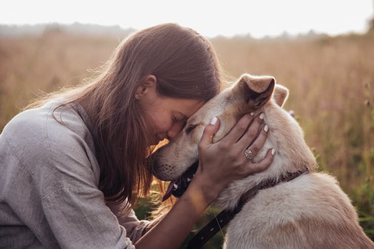 Ode al cane di Pablo Neruda (Foto Adobe Stock)