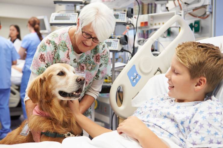 Cane e bambino in ospedale