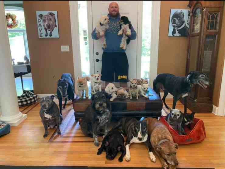 20 cani randagi trovano una casa (foto Facebook)