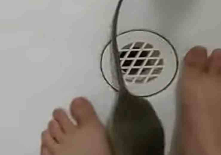 Topo che vuole fare la doccia insieme al suo proprietario (screenshot YouTube) 