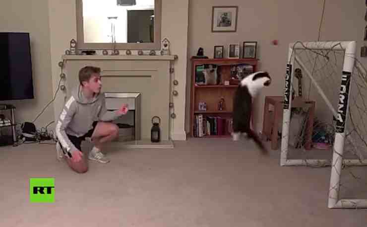 Miaonel Neuer, il gatto che para i rigori (screenshot YouTube) 