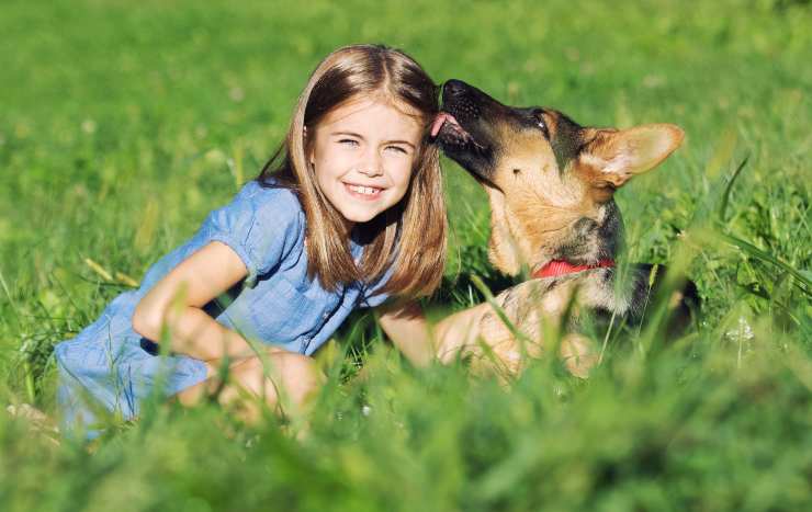 Perché i cani giocano e tirano i capelli