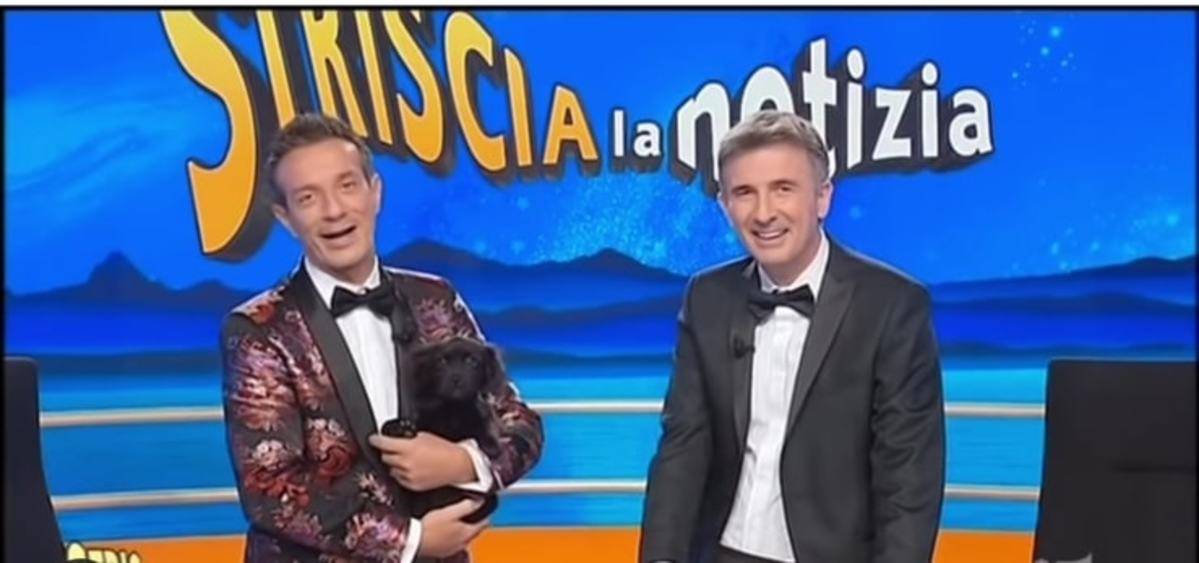 Nuovo cane Stiscia La Notizia Ottobre 2020 confermato il nome è Mes