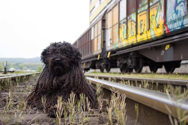 bobby stazione ferrovia