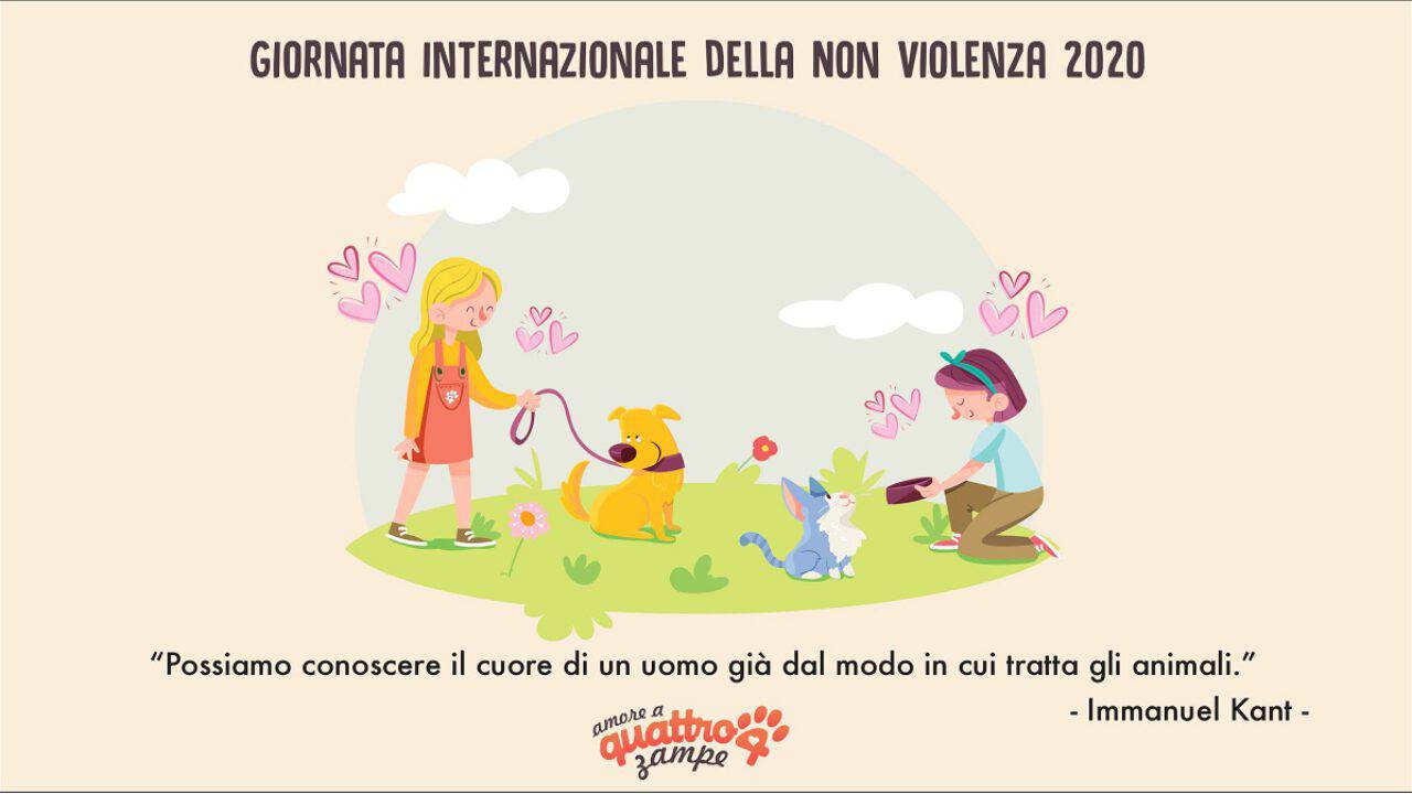 Frasi Maltrattamento Animali 10 Nella Giornata Della Non Violenza