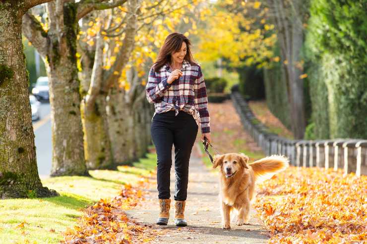 il cane aiuta a perdere peso