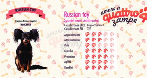 Russian Toy scheda razza