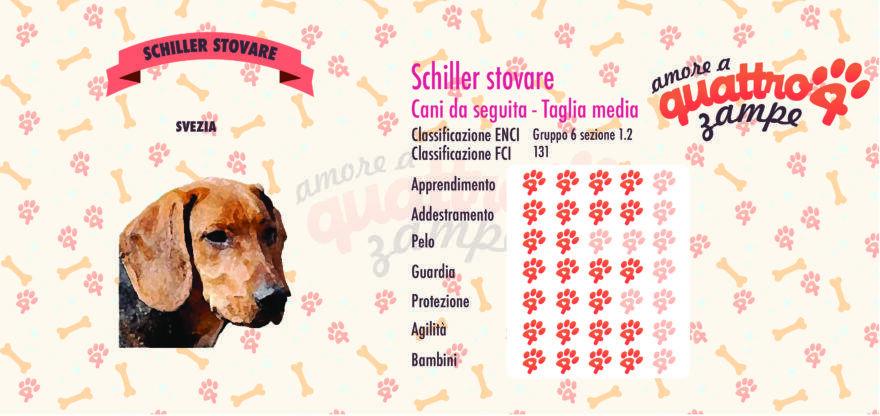 Schiller stovare scheda razza