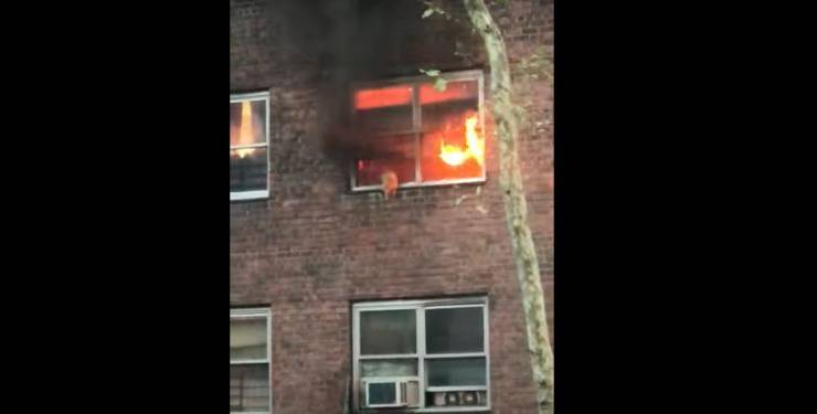 gatto salta appartamento fiamme