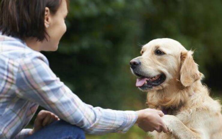 Il cane fedele verso la padrona Facebook