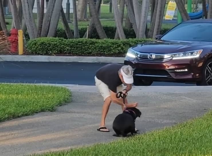 Uomo ripreso mentre picchia il suo cane