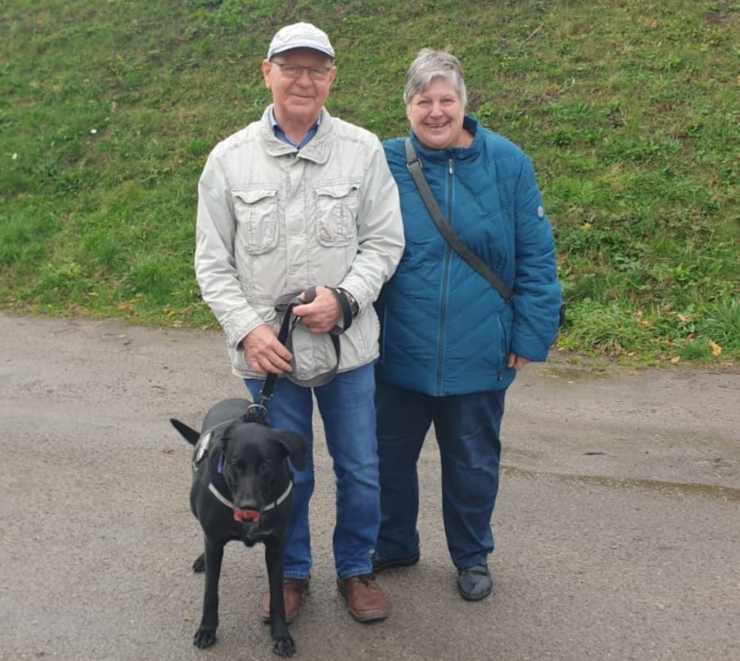 cane riportato rifugio divorzio proprietari