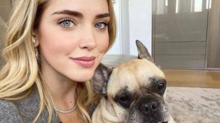 chiara ferragni cane