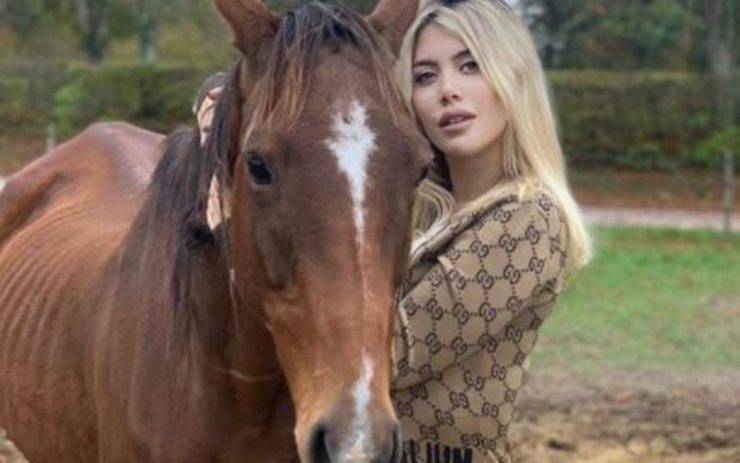 wanda nara cavallo