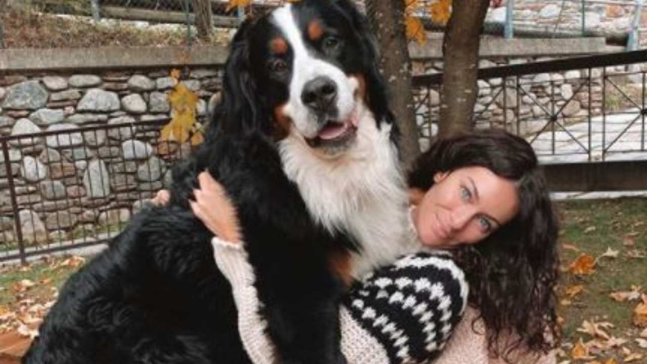 Cosa Succede Se Un Cane Viene Dentro Una Donna