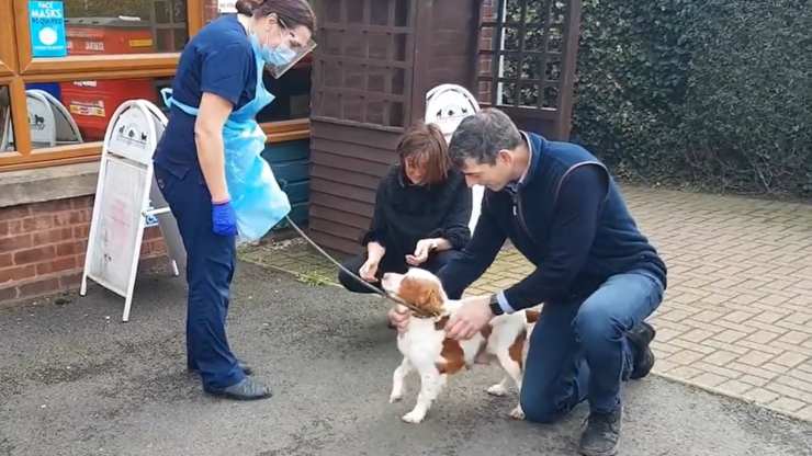 coppia ritrova cagnolina rapita