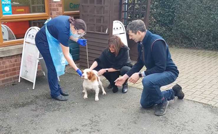 coppia riunisce cane rapito