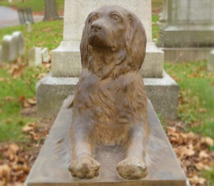 lapide cane 100 anni