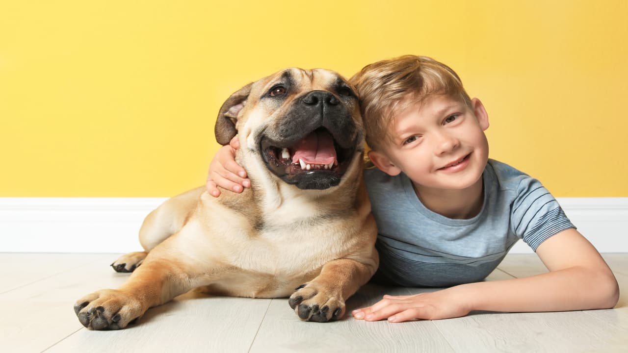 Cani e bambini: crescere insieme riduce il rischio di schizofrenia? (Foto Adobe Stock)