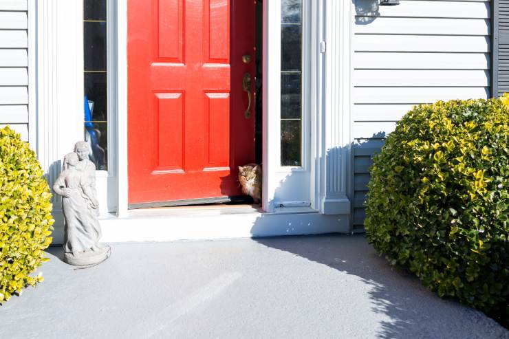 Il gatto aspetta il padrone sulla porta