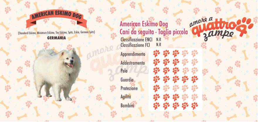 American Eskimo Dog scheda razza