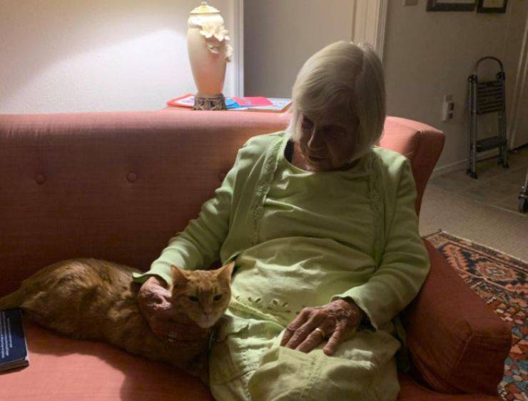 gatto depresso salvato 91 anni 