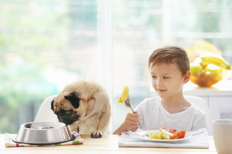 patate bambino e cane