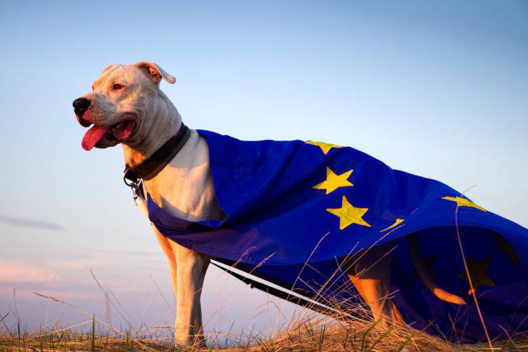 Le prime razze di cani in Europa