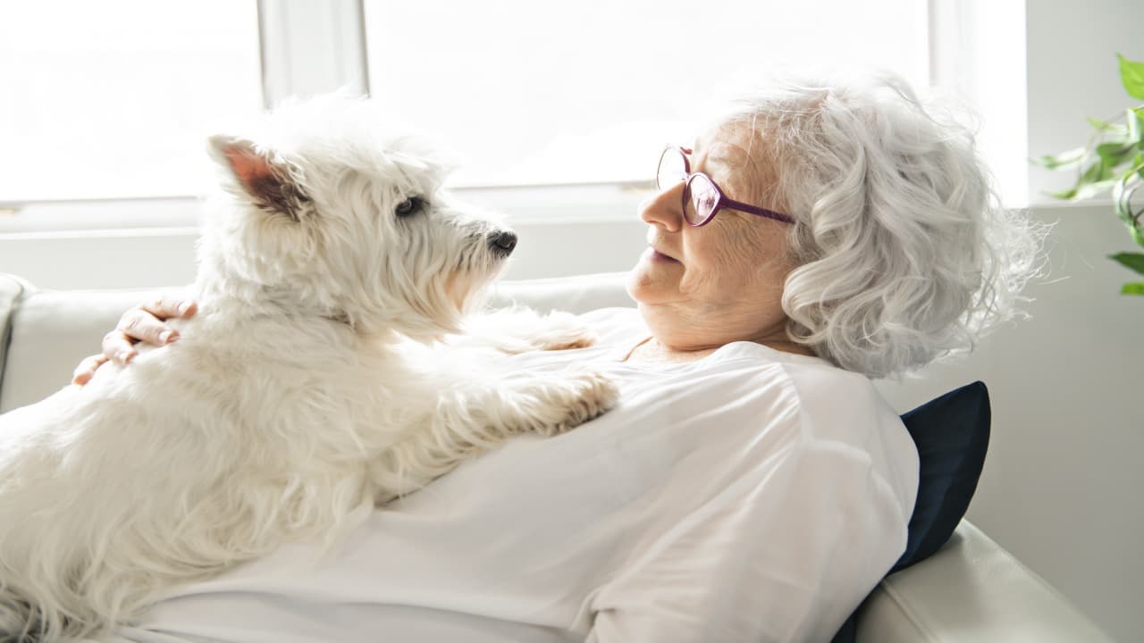 La compagnia di un cane aiuta i malati di Alzheimer