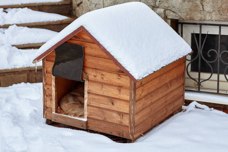 Decorare la cuccia del cane per Natale