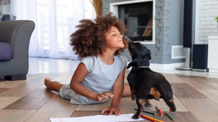 Calmare un cane agitato