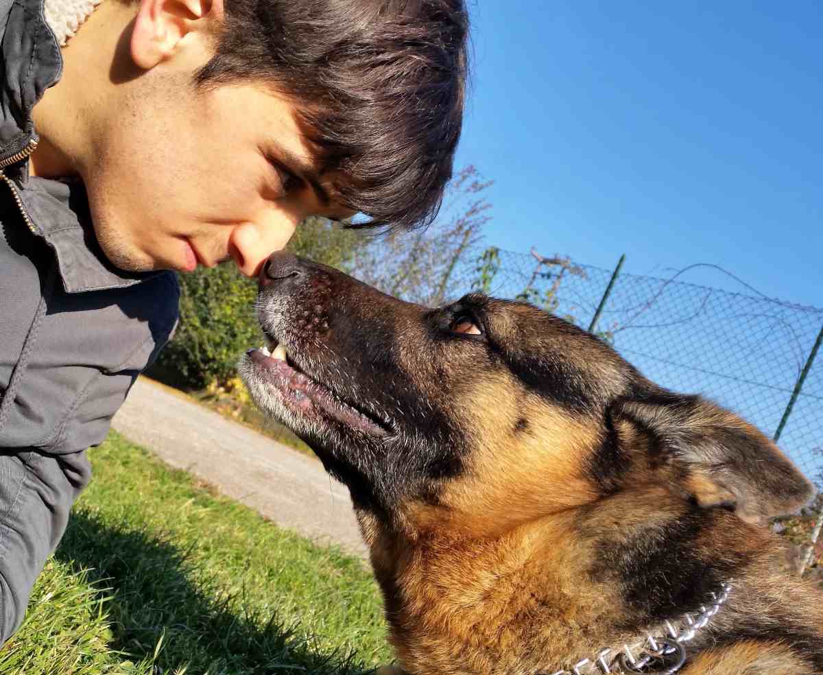 Padroni pazzi per i loro cani 7 cose stranissime che facciamo per lui