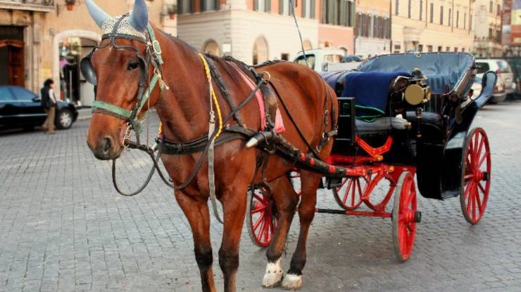 Botticelle Roma Animalisti Tar 