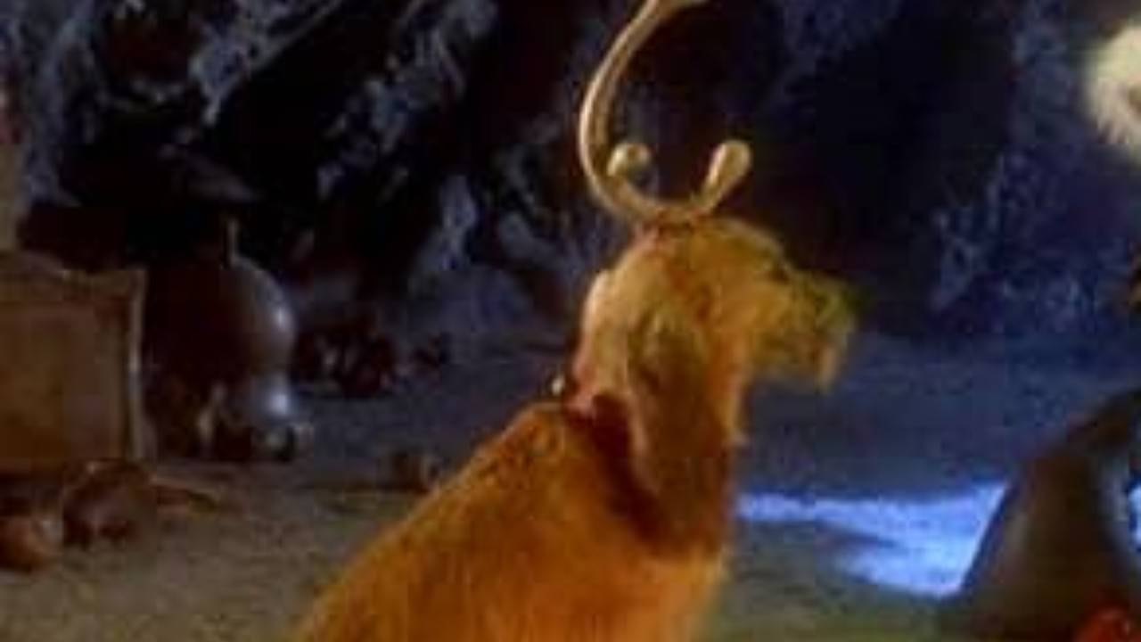 Come Si Chiama Il Cane Del Grinch