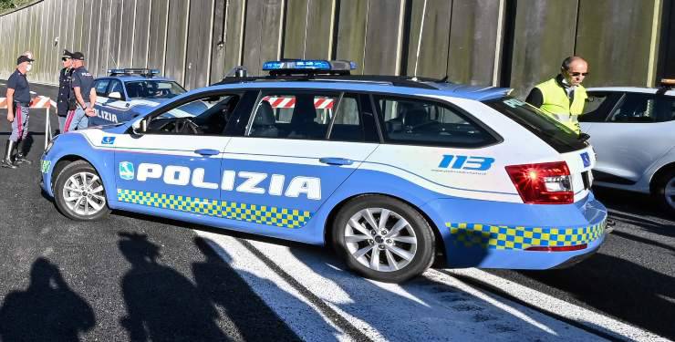 Traffico Illegale Cani Udine
