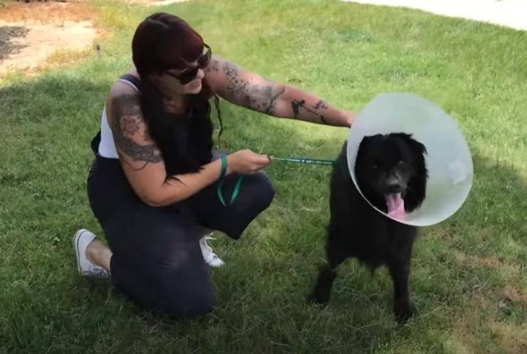 cagnolino abbandonato tre anni uomo