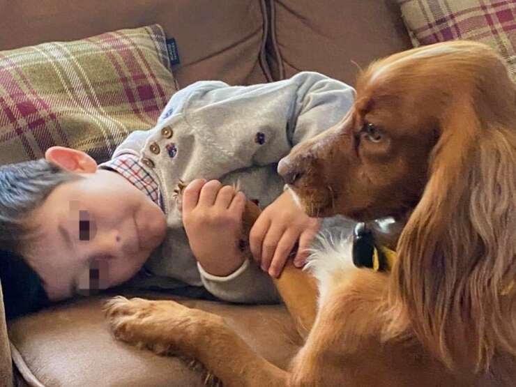Fren il cane che ha cambiato la vita di un bambino affetto da Autismo