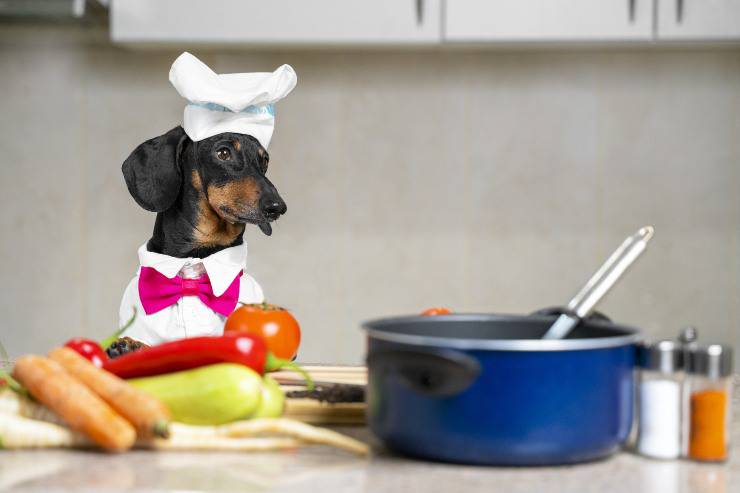 cane chef