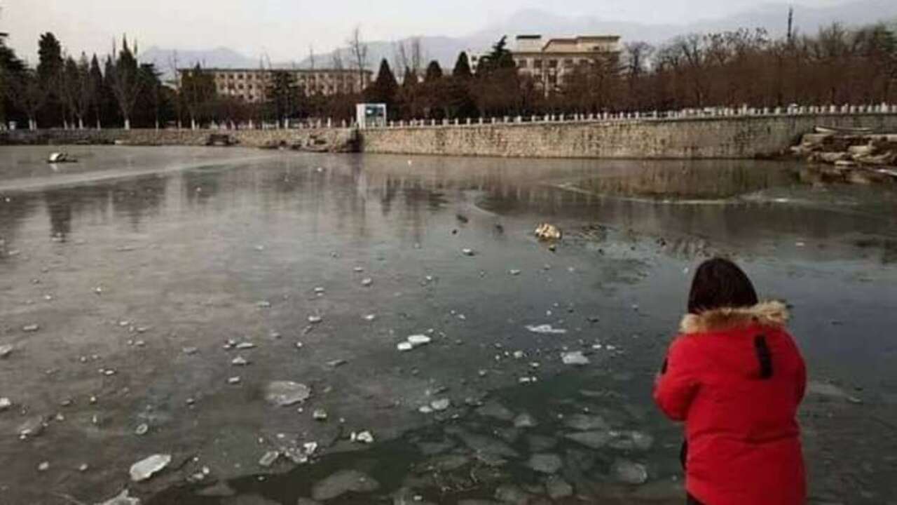 Cane passeggio scivola in un lago ghiacciato rischiando la vita (VIDEO)
