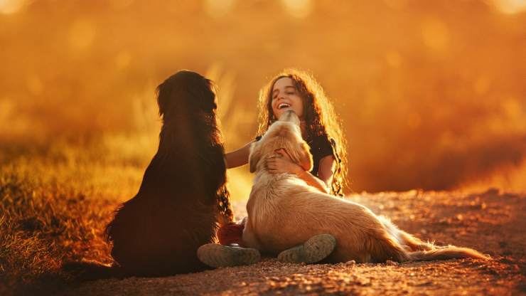 cani sono fedeli