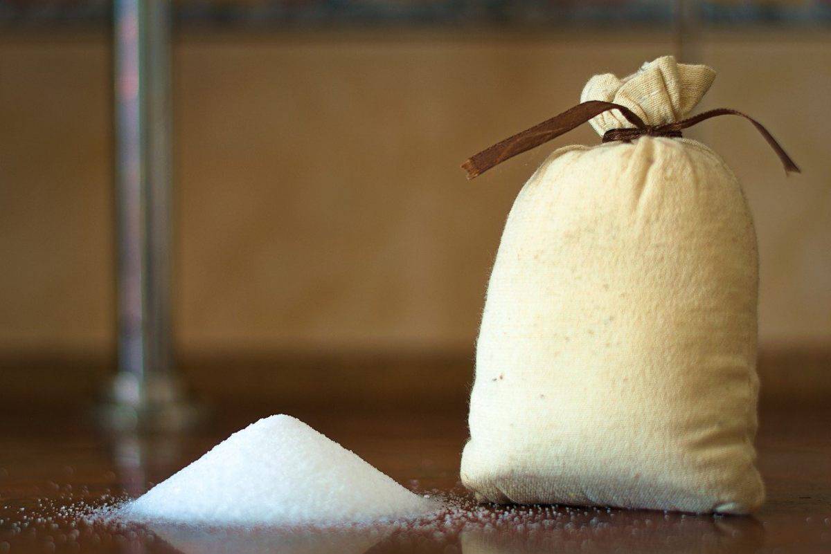 Il Cane Puo Mangiare Il Sale Effetti Del Sodio E Perche Evitarlo