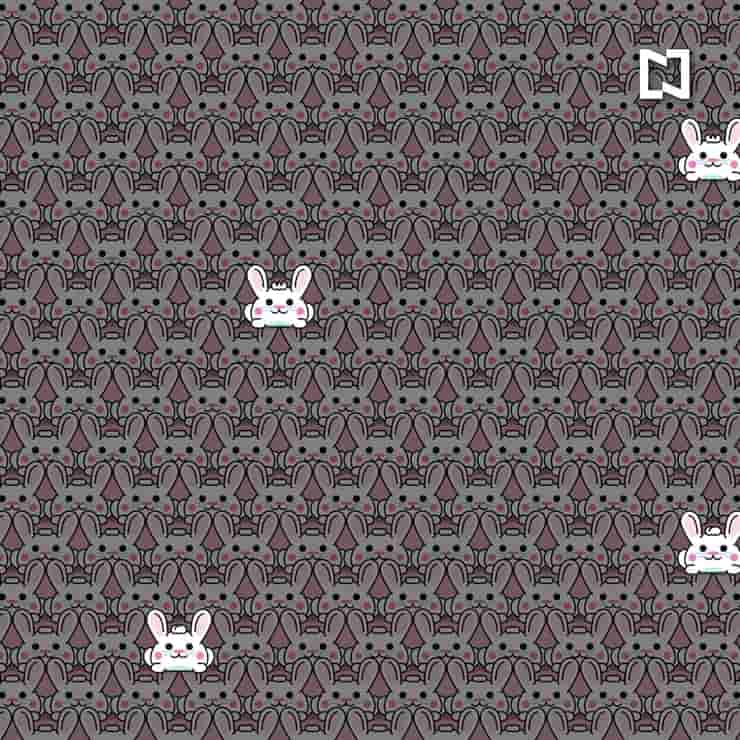 Soluzione Test visivo elaborato : Trova tutti i conigli con l'acconciatura diversa