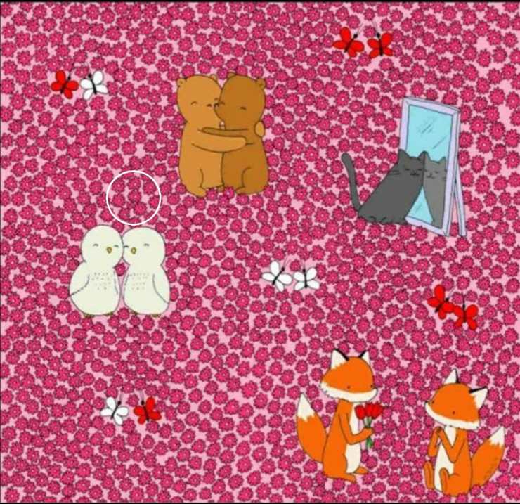 soluzione test visivo cuore