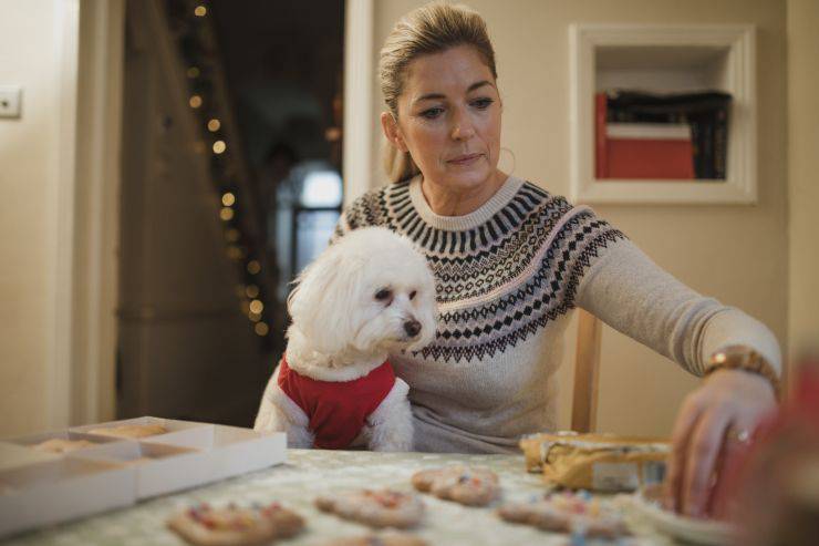 Il cane ha mangiato troppo a Natale