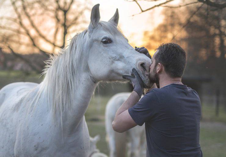 Bacio al cavallo