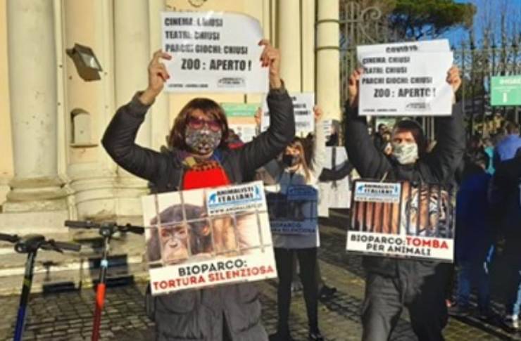 animalisti protestano bioparco Roma